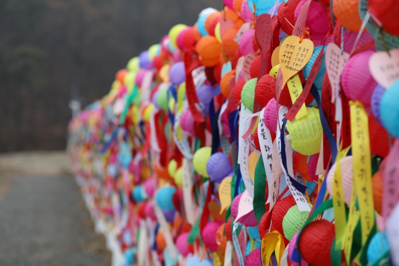 사본 -011A0376